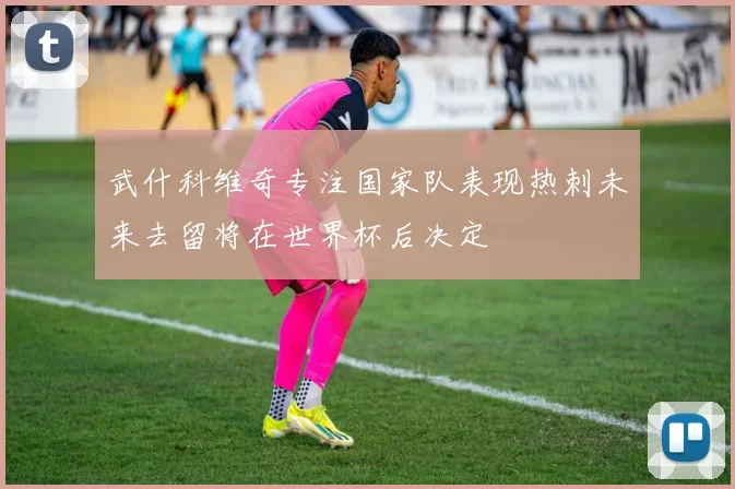 武什科维奇专注国家队表现热刺未来去留将在世界杯后决定